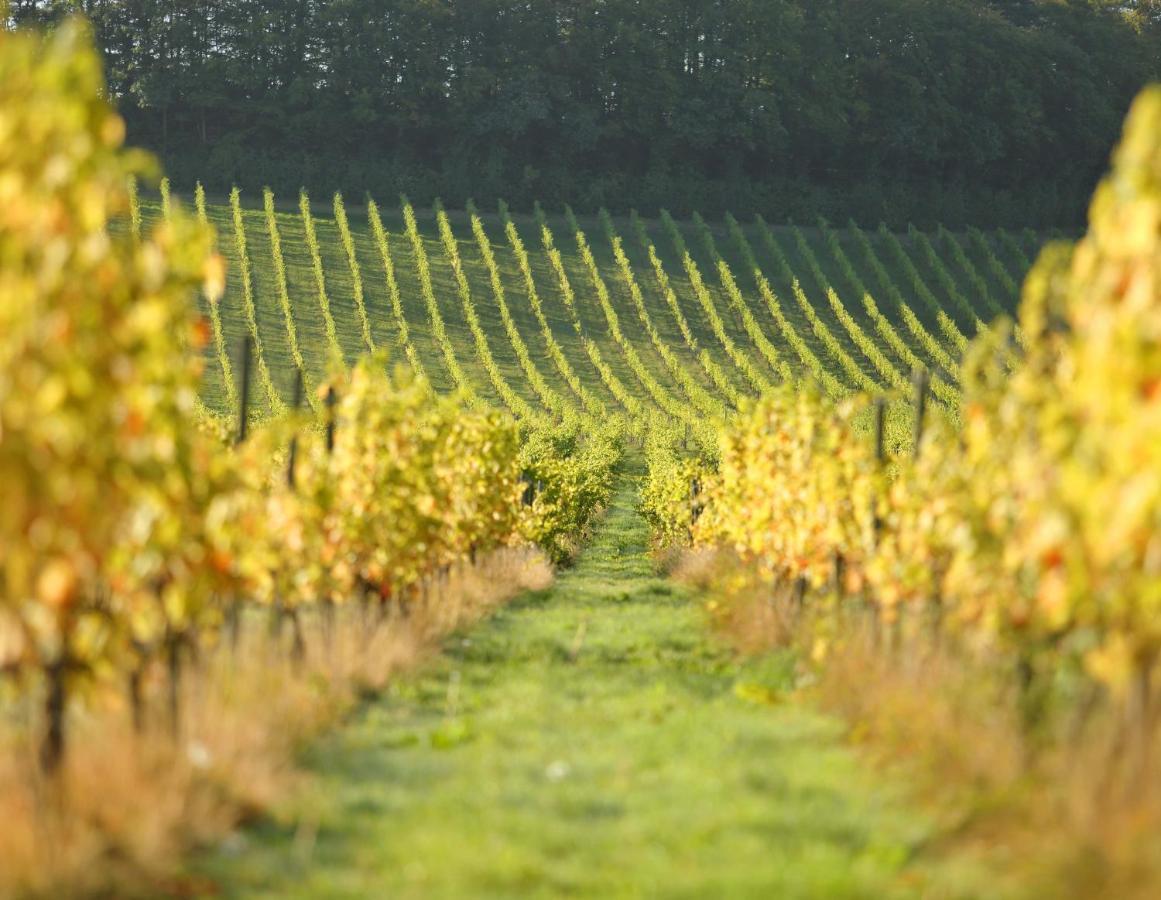 Denbies Vineyard Hotel Dorking Esterno foto