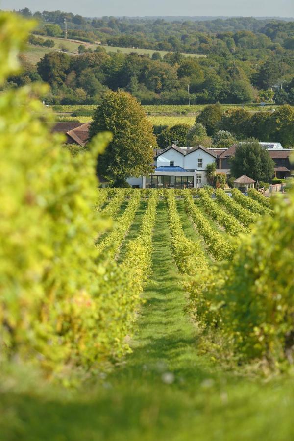 Denbies Vineyard Hotel Dorking Esterno foto