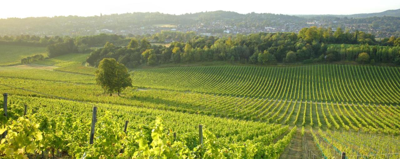 Denbies Vineyard Hotel Dorking Esterno foto