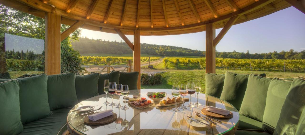 Denbies Vineyard Hotel Dorking Esterno foto