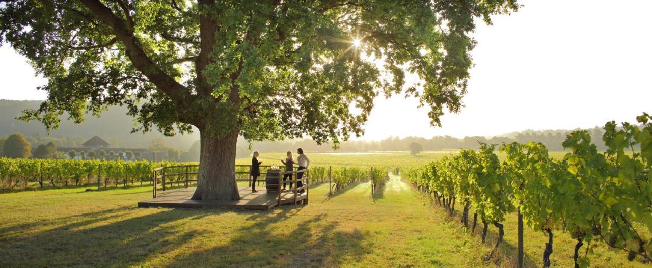 Denbies Vineyard Hotel Dorking Esterno foto