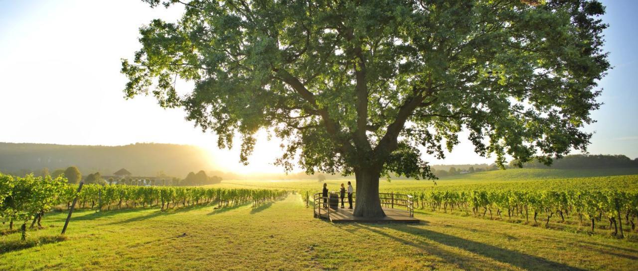 Denbies Vineyard Hotel Dorking Esterno foto