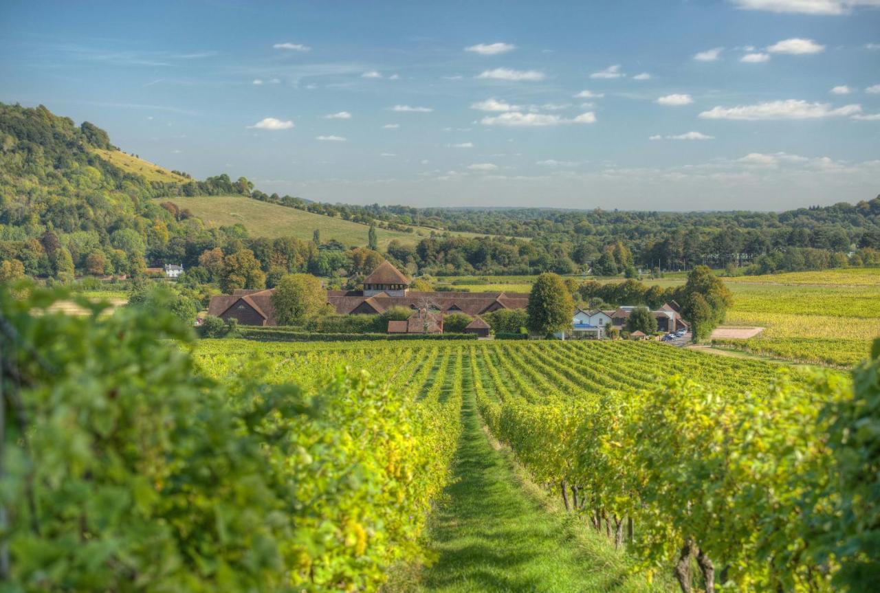 Denbies Vineyard Hotel Dorking Esterno foto
